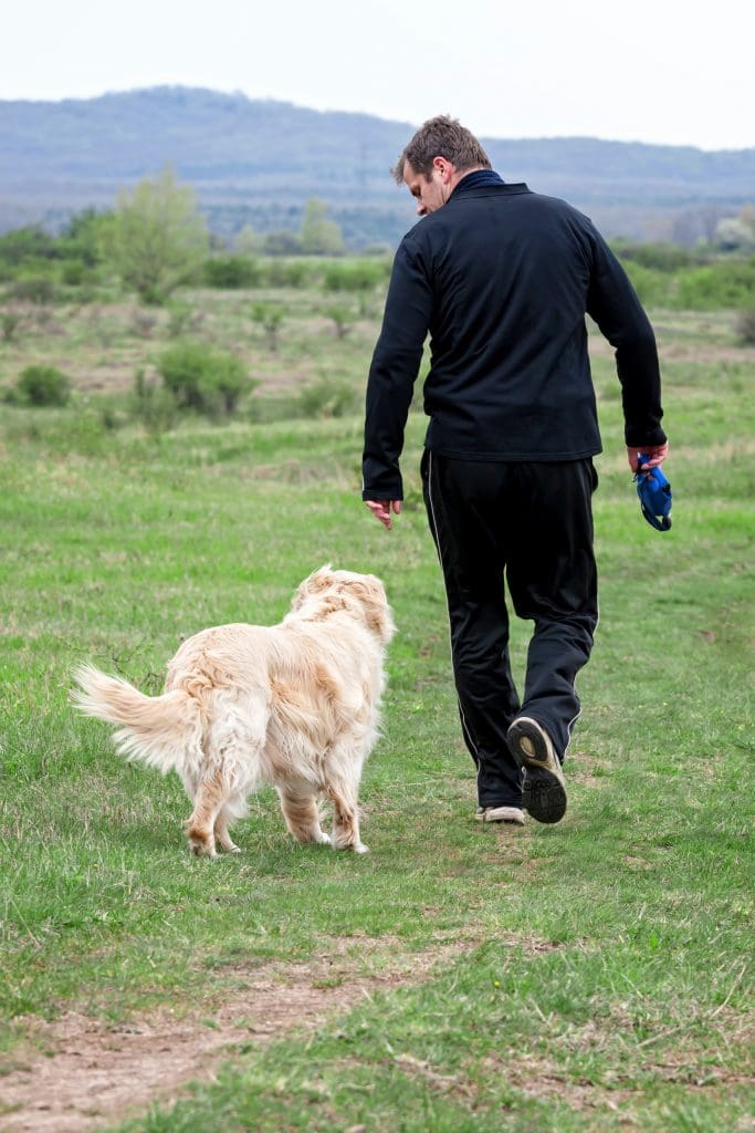 Walking dog to overcome caregiver burnout