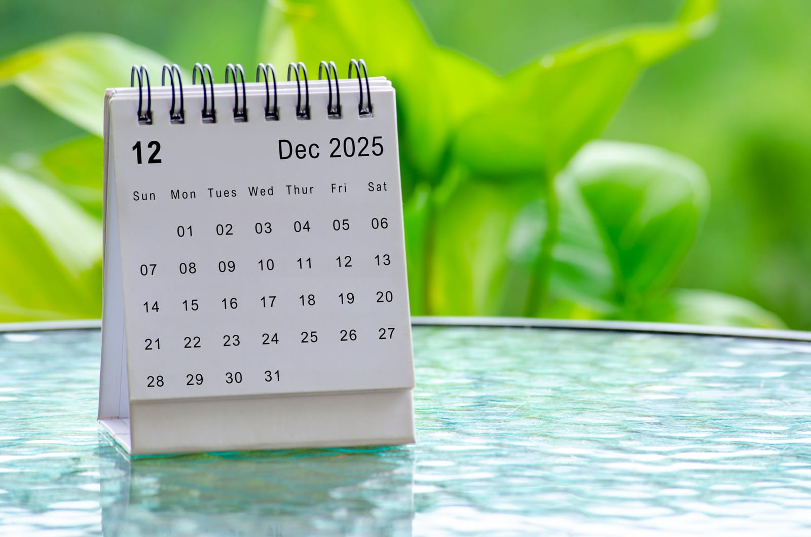 Goodbye, 2025: A Caregiver’s Farewell to a Year of Unpredictable Moments